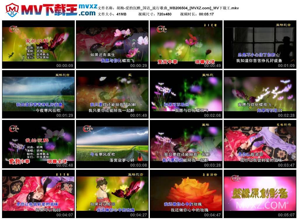 胡梅-爱的沉醉_国语_流行歌曲_MB206504